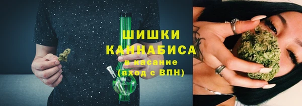 хмурый Вяземский